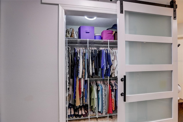 view of closet