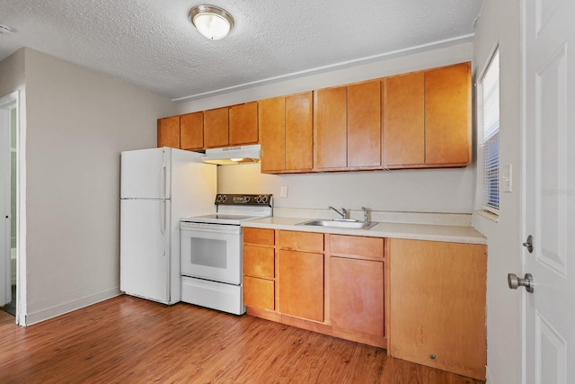 kitchen with a sink, light countertops, under cabinet range hood, white appliances, and light wood-style flooring