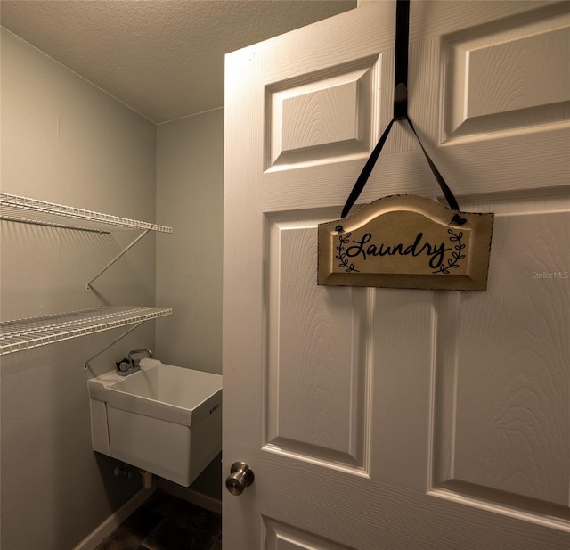 clothes washing area featuring a sink