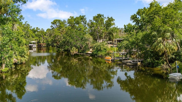 4112 Alafia Blvd, Brandon, FL 33511 - photo 2