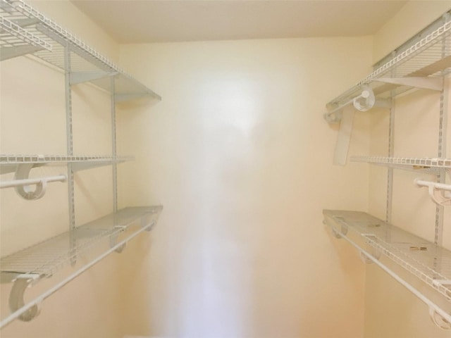 3311 Teeside Dr, New Port Richey, FL 34655 - view of spacious closet