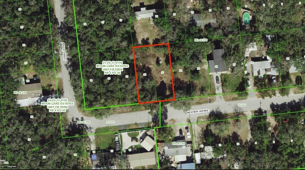 12015 Westbay Ave, New Port Richey, FL 34654 - photo 1