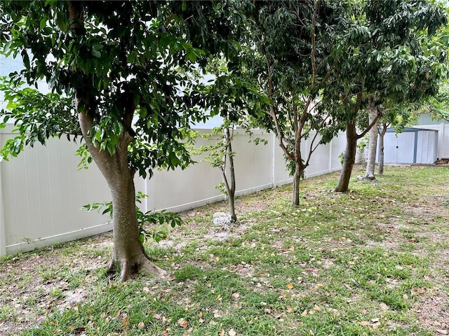 2820 Pankaw Ln, Valrico, FL 33596 - fenced backyard with a shed and an outdoor structure