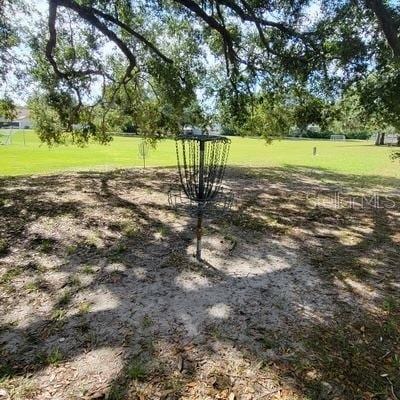 2820 Pankaw Ln, Valrico, FL 33596 - view of yard with view of scattered trees