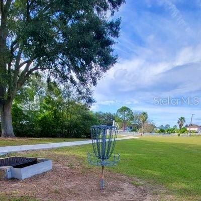 2820 Pankaw Ln, Valrico, FL 33596 - surrounding community featuring a yard