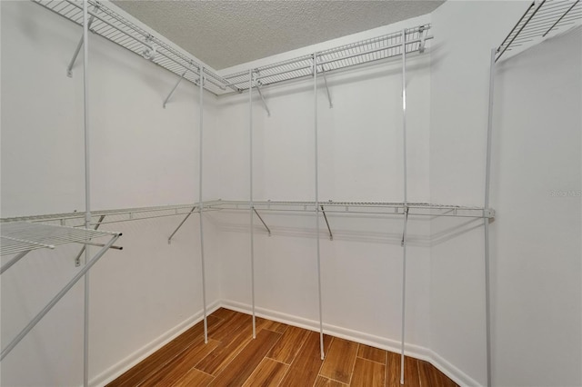 1601 Westerly Dr, Brandon, FL 33511 - walk in closet with wood finished floors