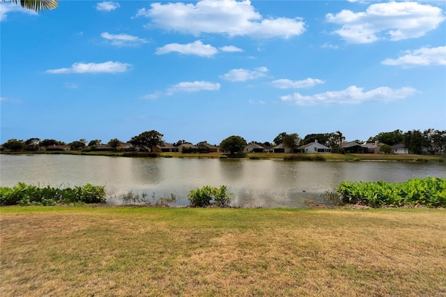 1601 Westerly Dr, Brandon, FL 33511 - view of water feature