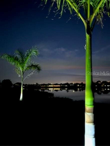 1601 Westerly Dr, Brandon, FL 33511 - view of water feature