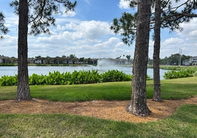 1601 Westerly Dr, Brandon, FL 33511 - view of water feature