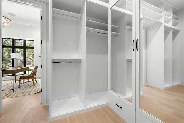2218 S Occident St, Tampa, FL 33629 - view of closet