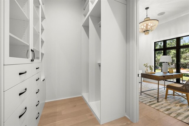 2218 S Occident St, Tampa, FL 33629 - spacious closet featuring a chandelier and light wood finished floors