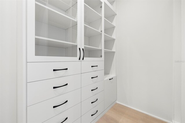 2218 S Occident St, Tampa, FL 33629 - view of closet