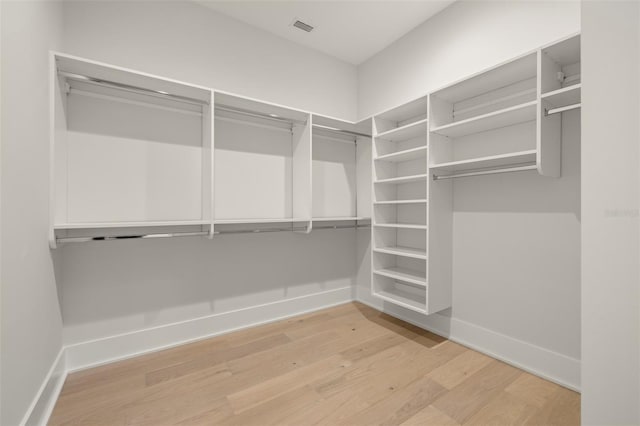 2218 S Occident St, Tampa, FL 33629 - walk in closet with light wood-type flooring