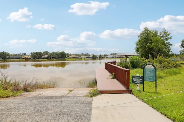 21746 Amelia Rose Way, Land O Lakes, FL 34637 - water view