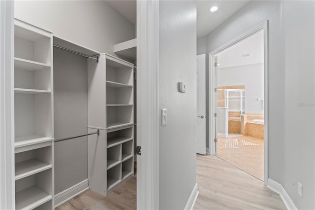 10517 Palm Cove Ave, Tampa, FL 33647 - walk in closet with light wood-style floors