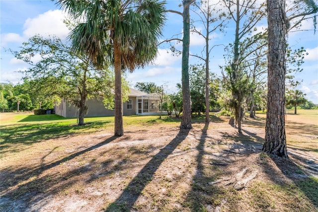 10517 Palm Cove Ave, Tampa, FL 33647 - view of yard