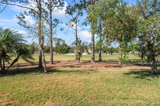 10517 Palm Cove Ave, Tampa, FL 33647 - view of yard