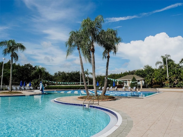 10517 Palm Cove Ave, Tampa, FL 33647 - community pool with a patio area