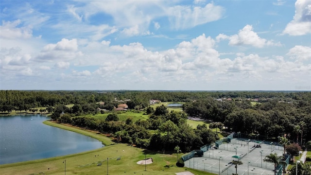 10517 Palm Cove Ave, Tampa, FL 33647 - drone / aerial view featuring a water view and a wooded view