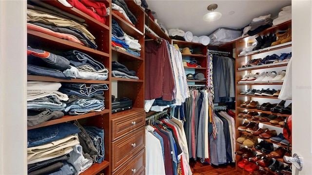 walk in closet featuring wood finished floors