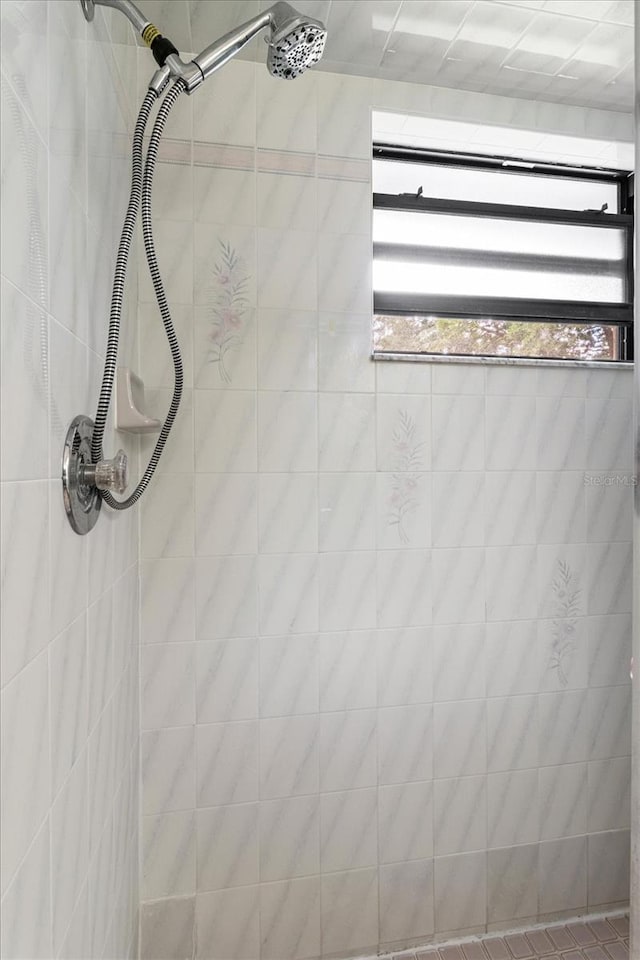 7120 N Croton Pt, Hernando, FL 34442 - interior details with a tile shower