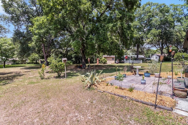 7120 N Croton Pt, Hernando, FL 34442 - view of yard