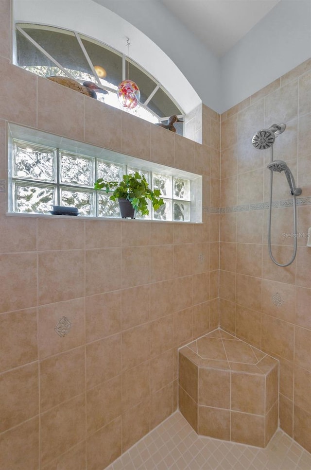 12923 Colony Rd, Hudson, FL 34669 - full bathroom featuring a tile shower