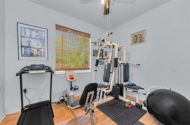 12923 Colony Rd, Hudson, FL 34669 - workout area with baseboards, ceiling fan, and wood finished floors