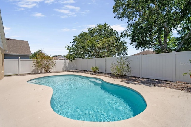view of swimming pool with a fenced in pool, a fenced backyard, and a patio
