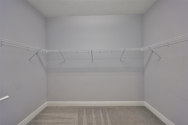 spacious closet with carpet flooring