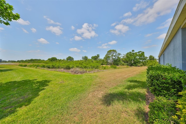 view of yard with a rural view