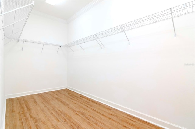 spacious closet with light wood-type flooring