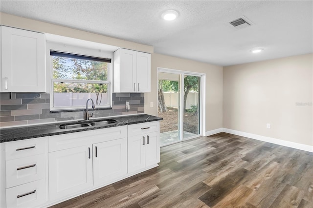kitchen with a sink, plenty of natural light, backsplash, and visible vents