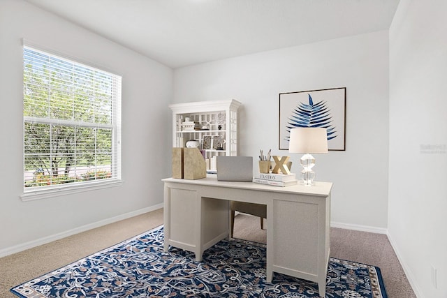 9309 Tradewater Oaks Ct, Riverview, FL 33578 - office area with carpet and baseboards