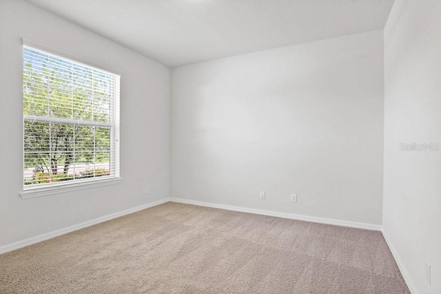 9309 Tradewater Oaks Ct, Riverview, FL 33578 - carpeted empty room featuring baseboards
