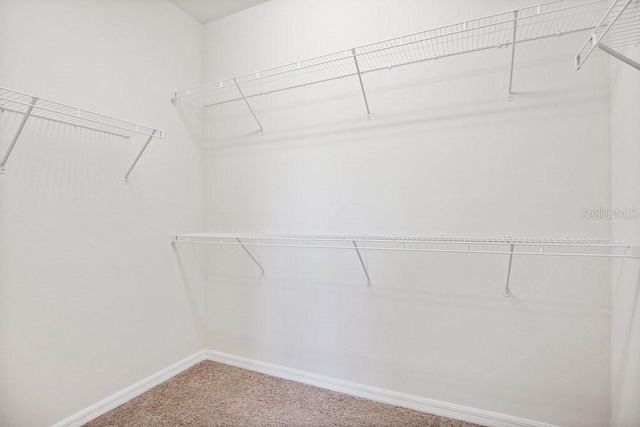 9309 Tradewater Oaks Ct, Riverview, FL 33578 - walk in closet with carpet floors