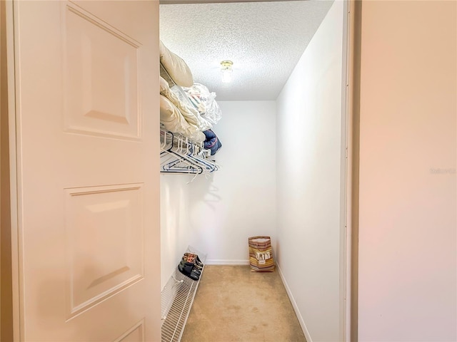 spacious closet featuring light carpet