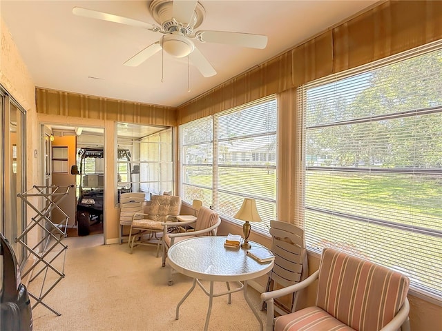 sunroom / solarium featuring carpet floors, ceiling fan, and wooden walls