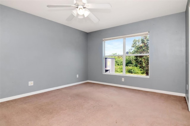 8561 Deer Chase Dr, Riverview, FL 33578 - spare room with carpet, baseboards, and ceiling fan