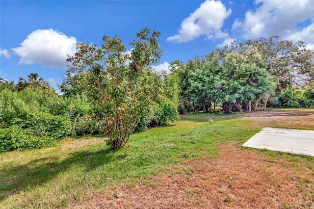 8561 Deer Chase Dr, Riverview, FL 33578 - view of yard