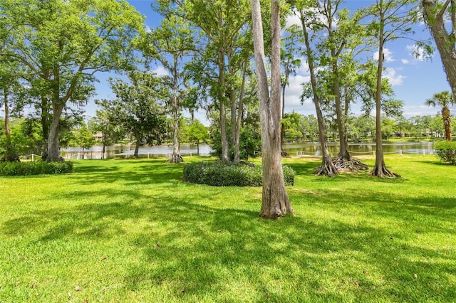 view of yard featuring a water view
