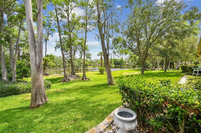 view of yard with a water view