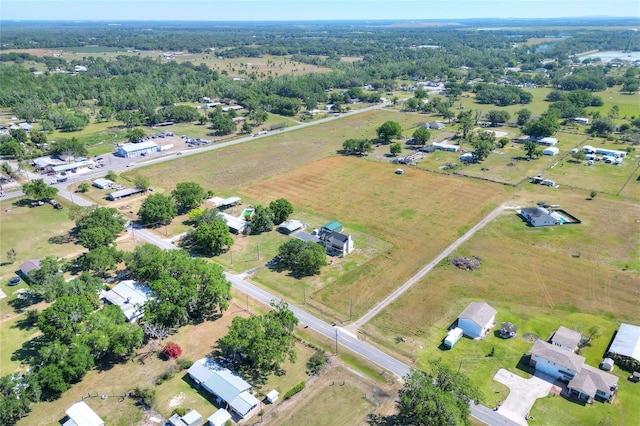 3434 E Keysville Rd, Lithia, FL 33547 - photo 42