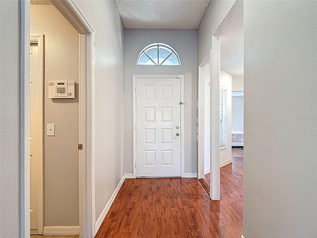 19227 Garden Quilt Cir, Lutz, FL 33558 - foyer with a textured ceiling, baseboards, and wood finished floors