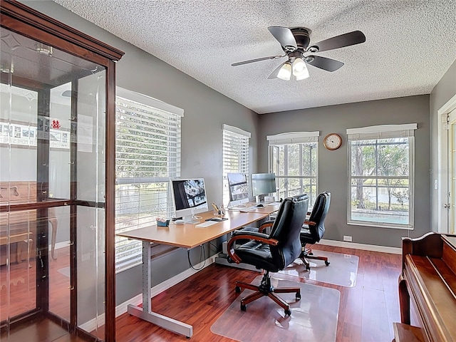 19227 Garden Quilt Cir, Lutz, FL 33558 - office space featuring baseboards, a ceiling fan, a textured ceiling, and wood finished floors