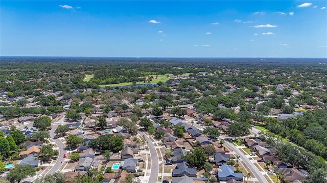 1005 Cameo Crest Ln, Valrico, FL 33596 - aerial view of residential area