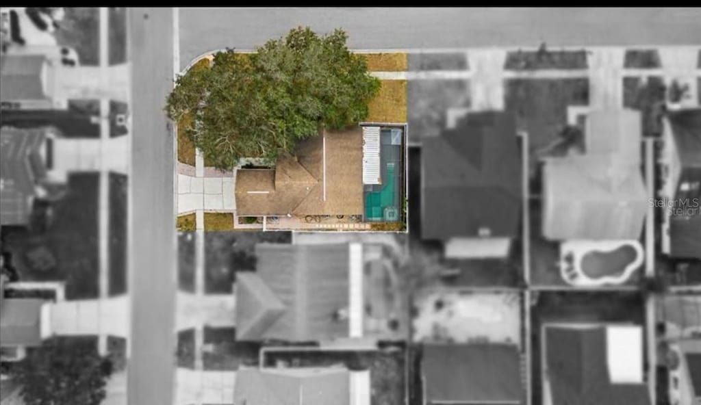 bird's eye view