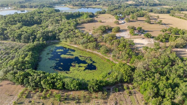 0 SE 165th Ave, Weirsdale, FL 32195