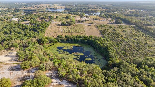 0 SE 165th Ave, Weirsdale, FL 32195