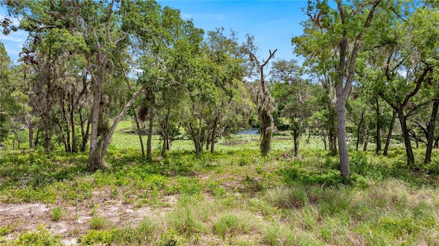 0 SE 165th Ave, Weirsdale, FL 32195